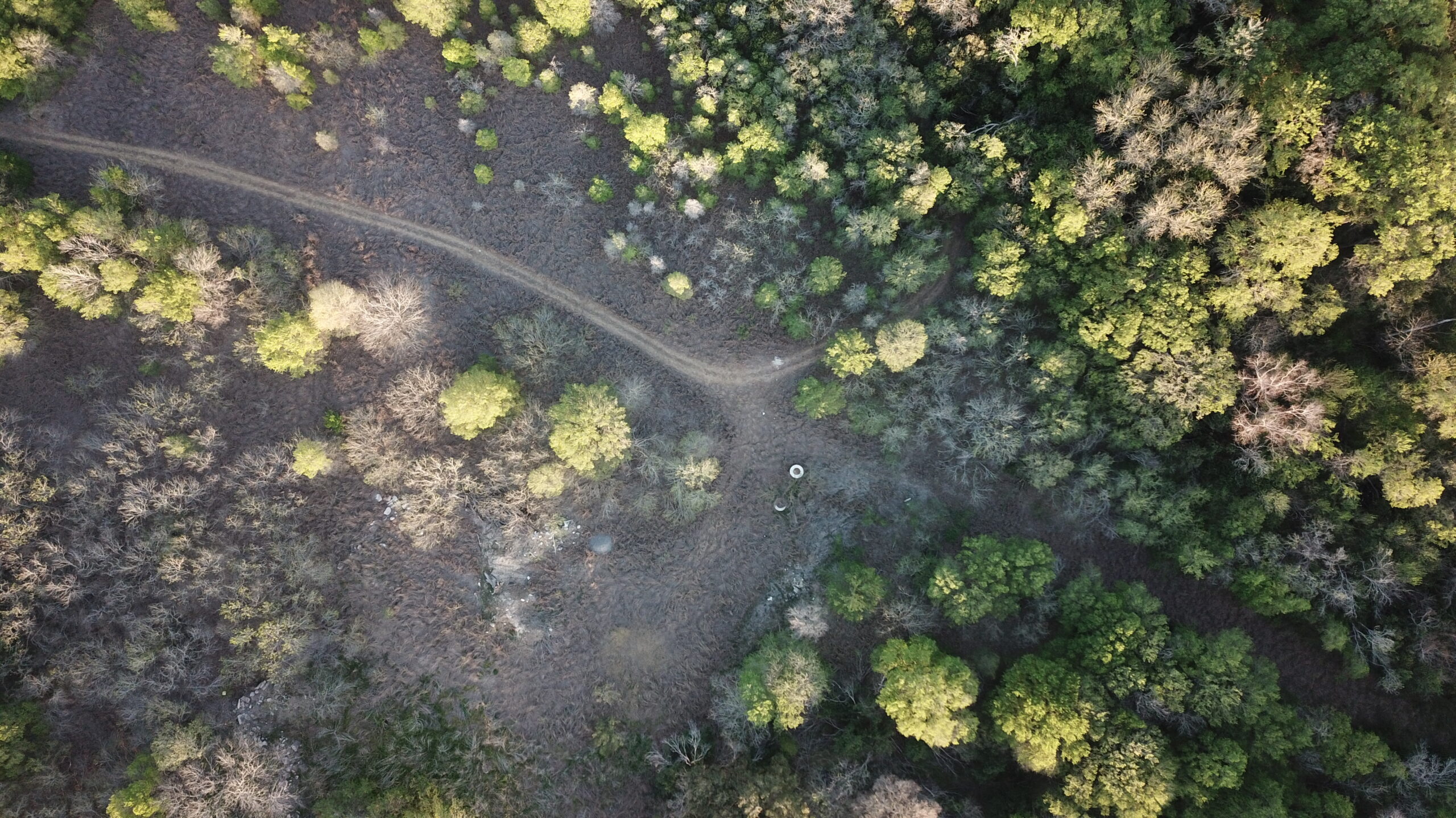 Sustainability Report 2025